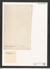 Nitzschia dissipata var. acuta (Hantsch.) V. H. (de-Toni-Nr.: Genus 47, Species 2090) Zeichnungen Sammlung Grunow (NHMW-BOT-W0372042)